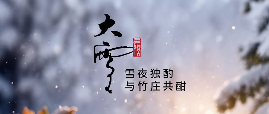 【雪夜独酌，与竹庄共酣】